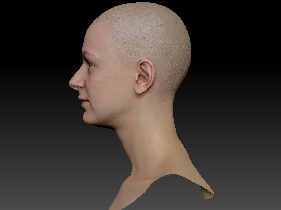 Human heads and FACS scans Render